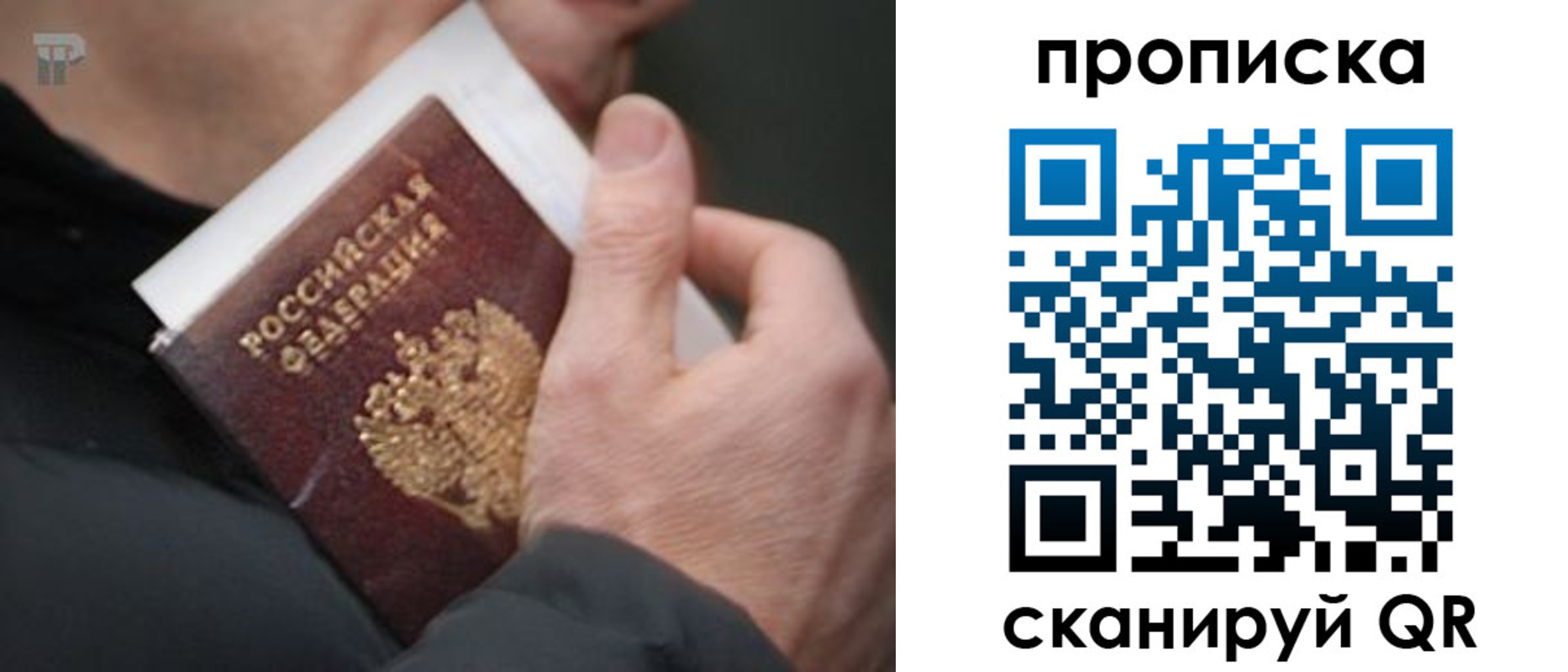 временная регистрация гарантия в Смоленской области